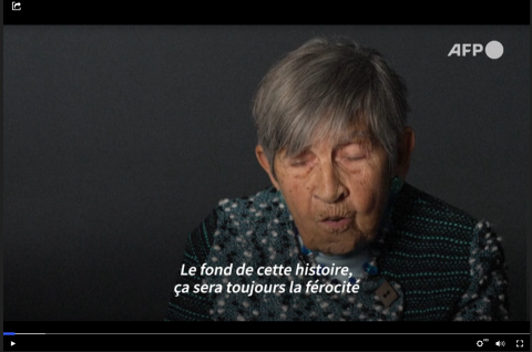 history  -  camps  -  genocide  -  holocaust  -  germany  -  nazis